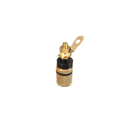 4mm Siyah Gold Born Jak resmi