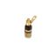 4mm Siyah Gold Born Jak resmi