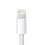 Usb Lightning Erkek Konnektör - Kapaklı resmi